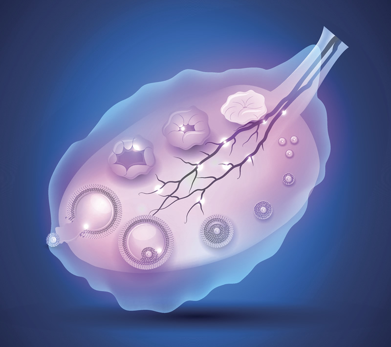 上饶第三代试管婴儿医院技术实力排行榜发布!助孕技术对比,哪家更适合你？
